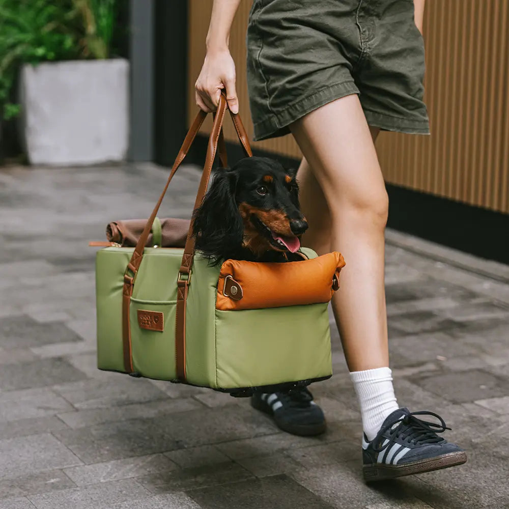 Funny Fuzzy Pet Travel Carrier Faux Leather Plush Pillow Green Dog Car Seat — Image 2