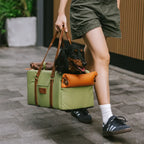 Funny Fuzzy Pet Travel Carrier Faux Leather Plush Pillow Green Dog Car Seat — Image 2