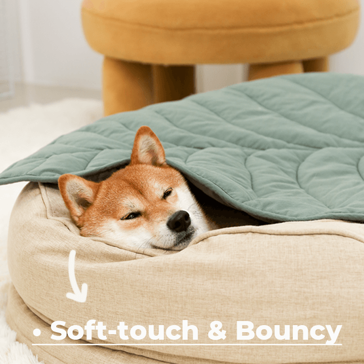 Funny Fuzzy Luxury Waterproof Pet Bed Soft Plush Cushion Anti-Slip Bottom — Image 5