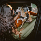 Funny Fuzzy Pet Car Seat Carrier Green Waterproof Anti-Scratch Travel Bed for Dogs Cats — Image 12
