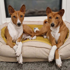 Funny Fuzzy Luxury Waterproof Pet Bed Soft Plush Cushion Anti-Slip Bottom — Image 18